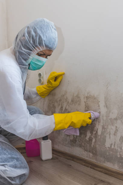 Mold Remediation for Vacation Homes in West Freehold, NJ