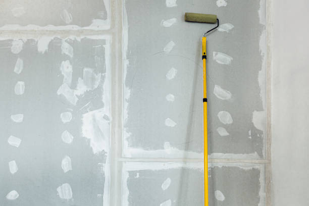 Best Mold Damage Restoration  in West Freehold, NJ
